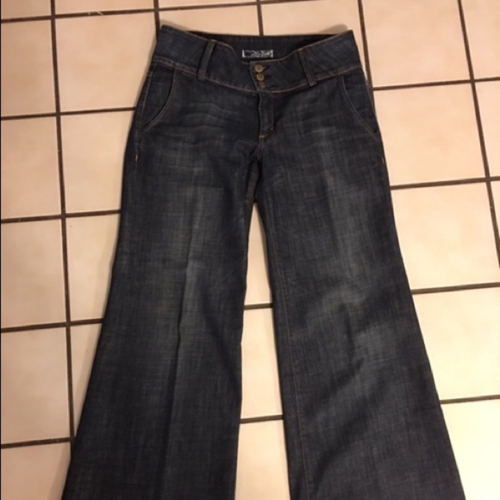 HUDSON VINTAGE LOW RISE WIDE LEG JEANS